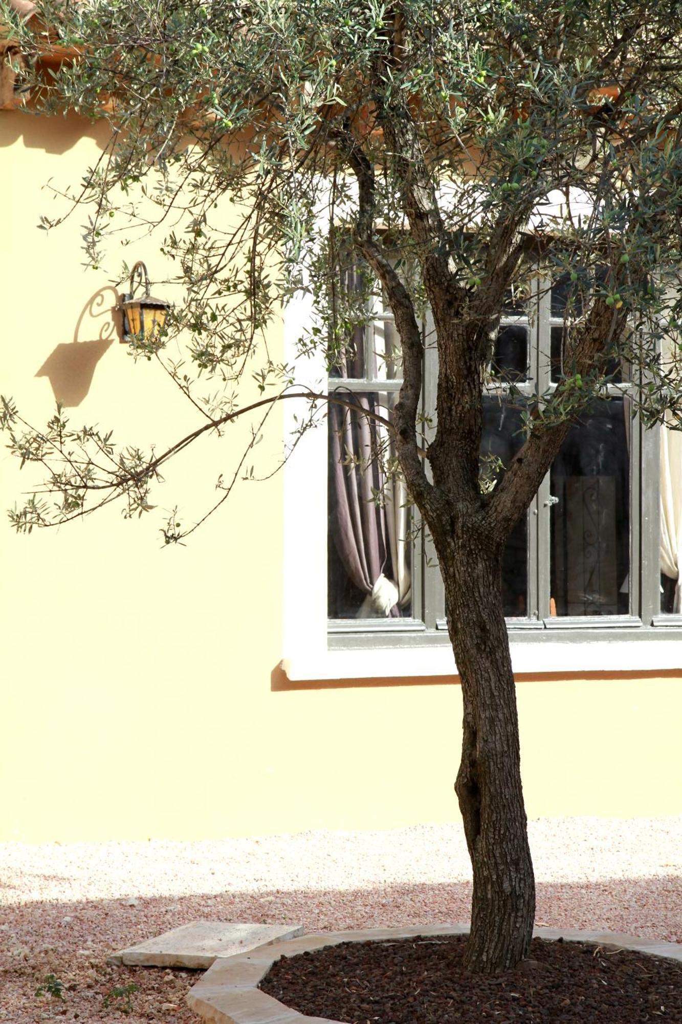 Logis Hotel Le Clos Des Oliviers Bourg-Saint-Andeol Exterior photo